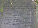 image of grave number 174316